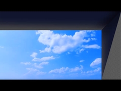 Eye-naked 3D advertising led display screen