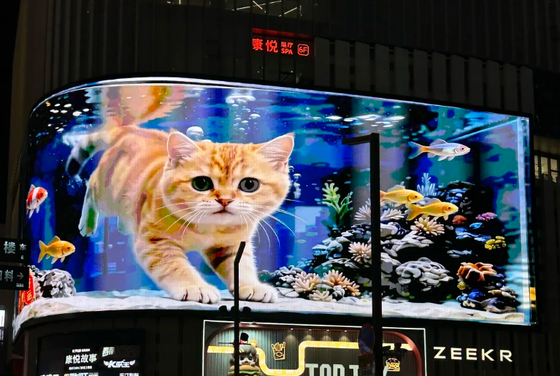 Customized Outdoor LED Video Walls P6.67 P8 P10 Displays Diecasting Aluminum Cabinets