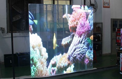 5.6mm High Transparency Led Shop Window Display 11 Scan 63775dots/ M2
