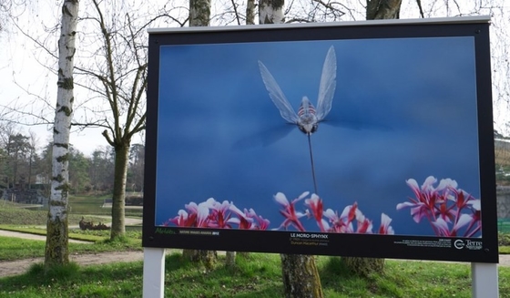 P4mm Outdoor Led Video Walls IP65 Advertising Screen Display 62500 Dots/ M2 CCC