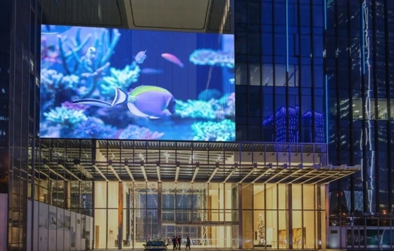 ISO14001 Interactive Creative Transparent Led Window Display ODM 1/ 11 Scan